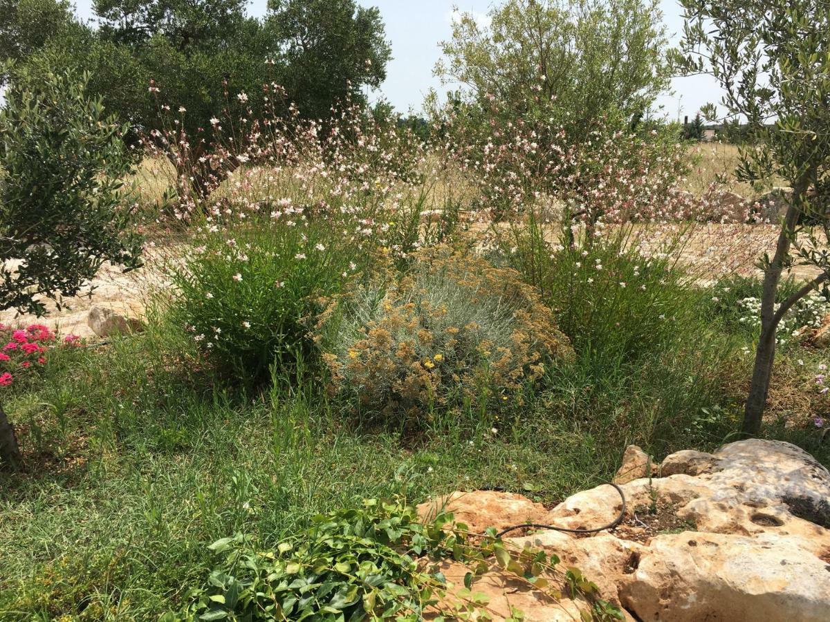 Trulli Relais Casa Gemma Villa Martina Franca Kültér fotó
